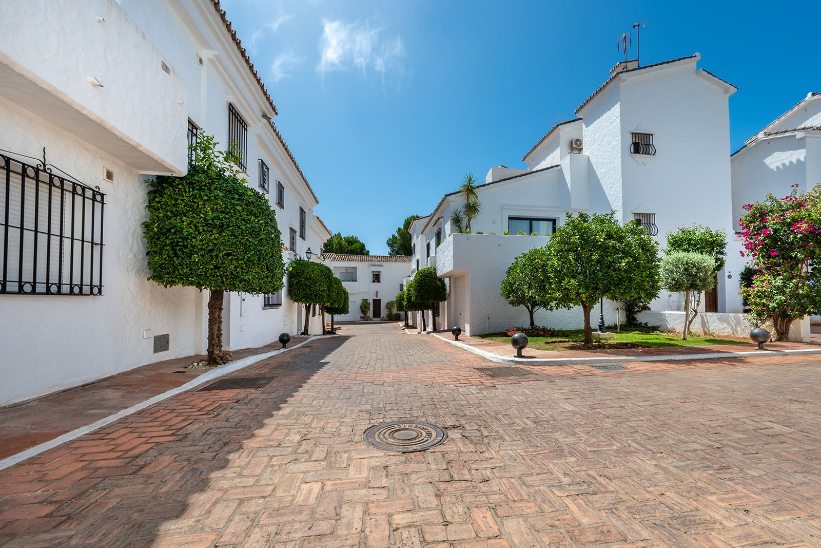 2 Bedroom Townhouse Las Brisas image 41