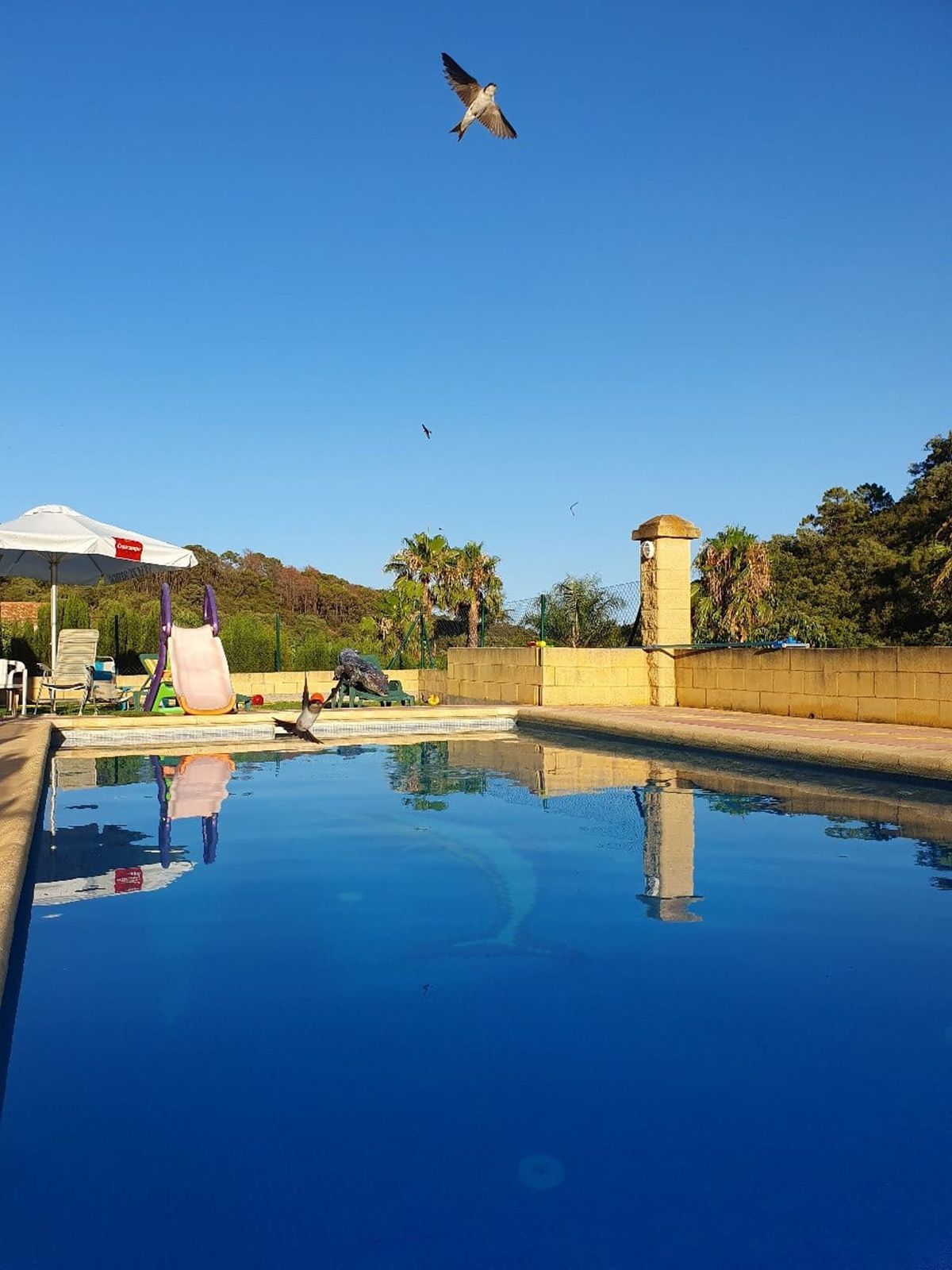 4-bedroom Finca - Cortijo in Estepona