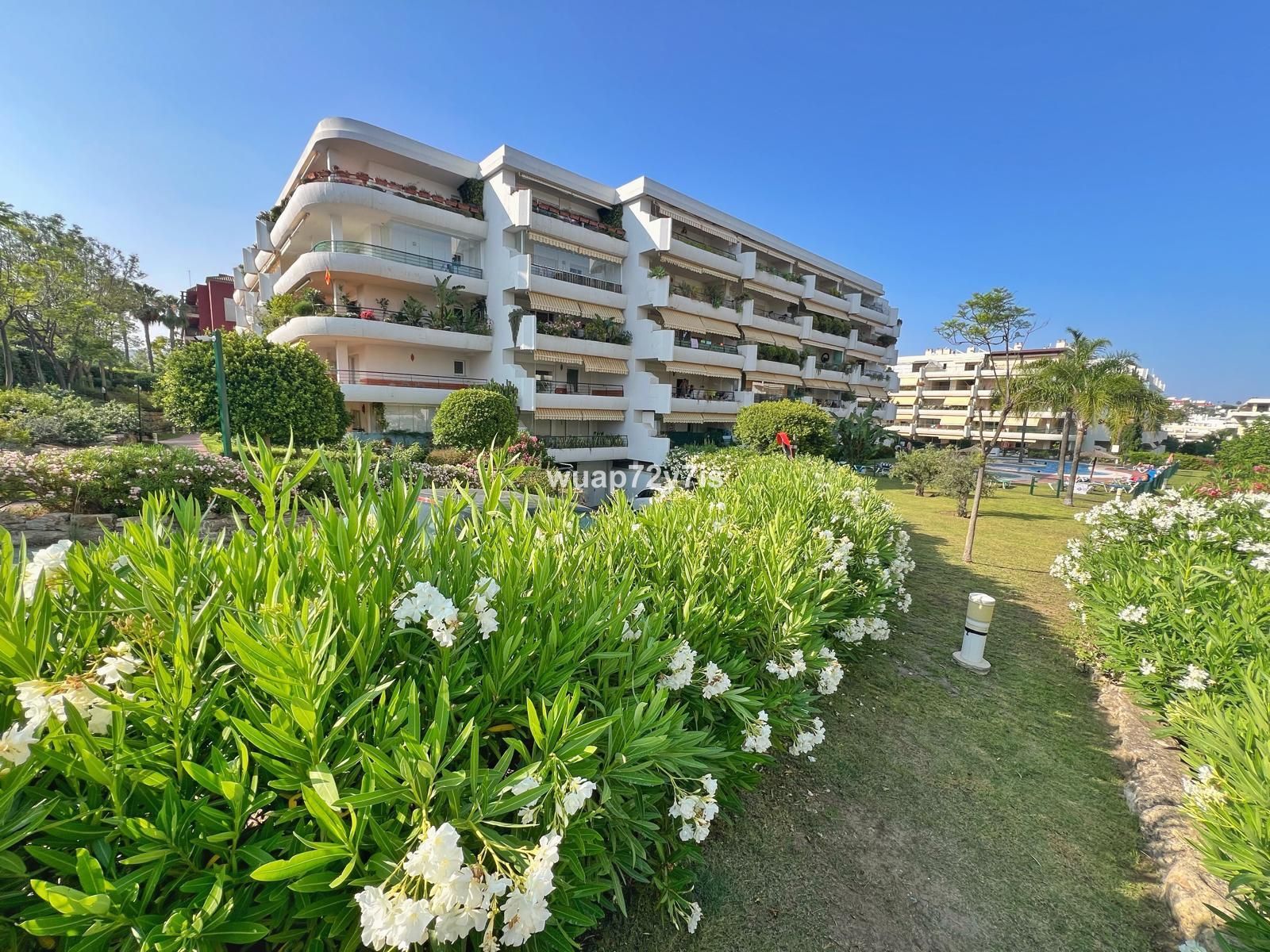 3-bedroom Ground Floor Apartment in Guadalmina Alta