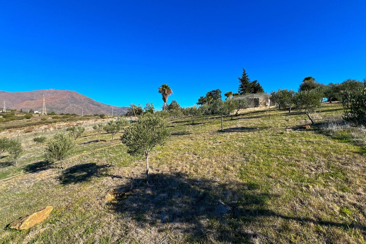 4-bedroom villa in Estepona, Marbella – image 48