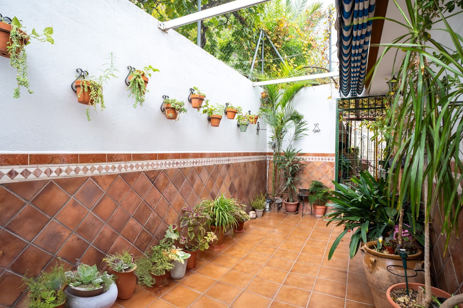 7 Bedroom Semi-Detached House Estepona Town image 5